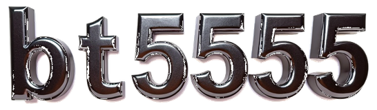 bt5555 logo